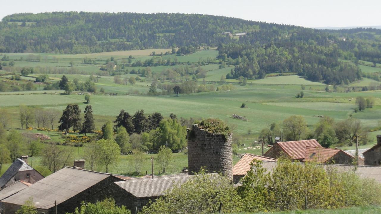 Villa Gite Les Ducs Mialanes Exterior foto