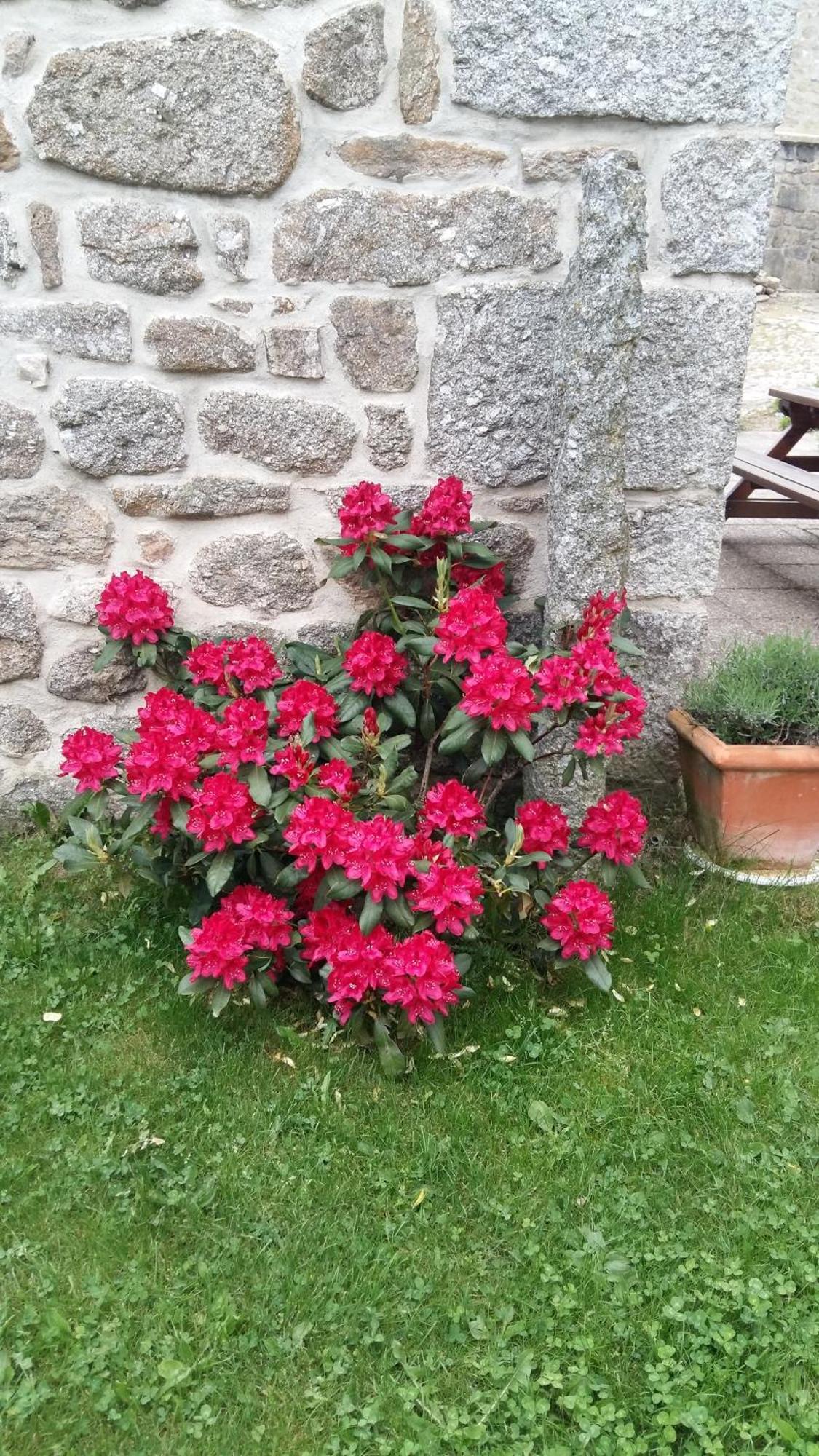 Gite Les Ducs Mialanes Exterior foto