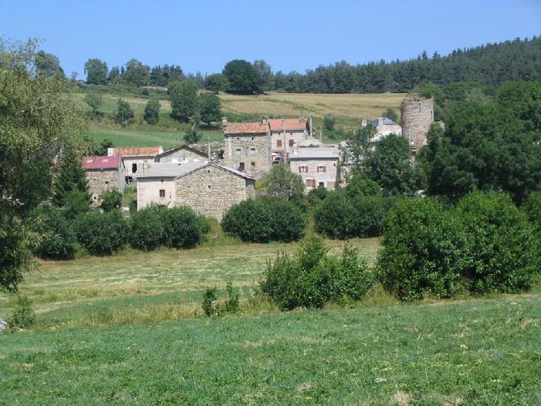 Villa Gite Les Ducs Mialanes Exterior foto