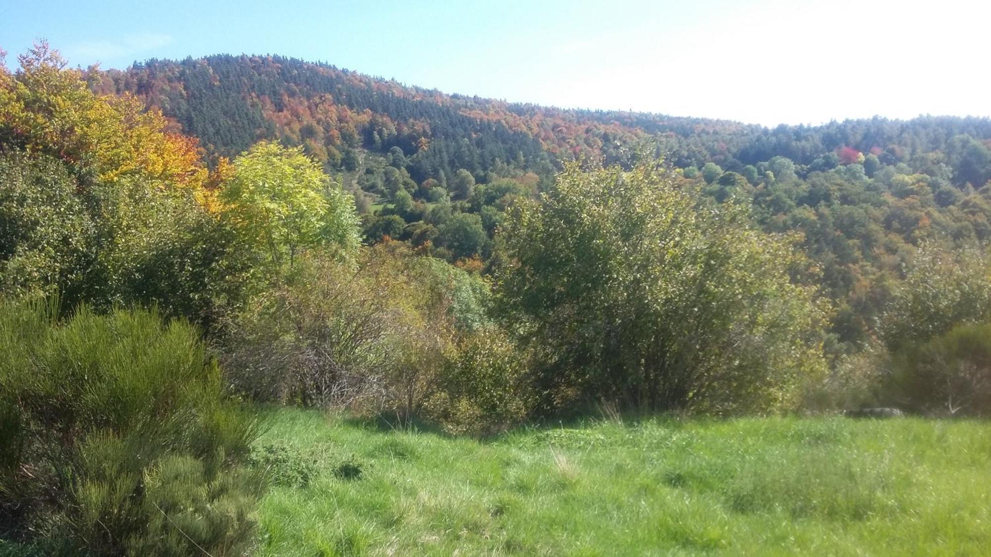 Gite Les Ducs Mialanes Exterior foto